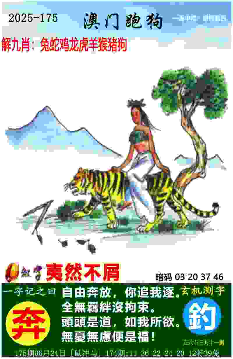 【楠楠自语】参差多态